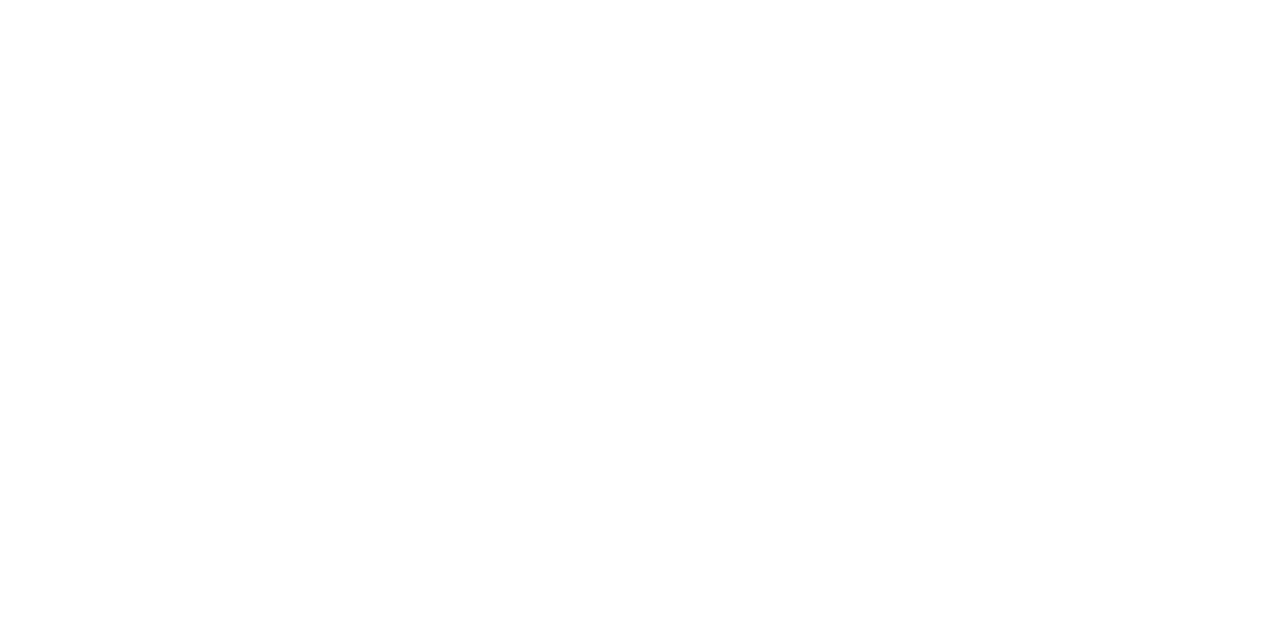 IT Status der CRFE Gruppe